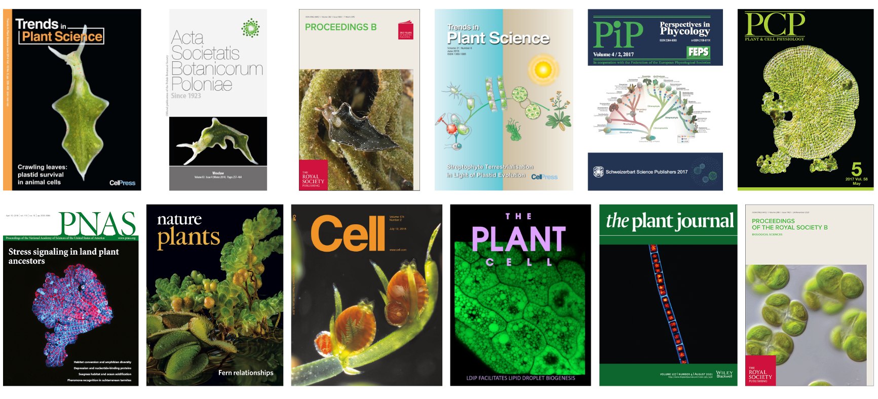 Publications  Jan de Vries